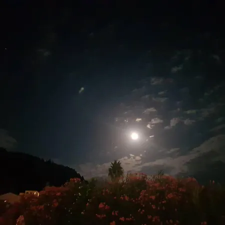 Corfu 87 Lejlighed